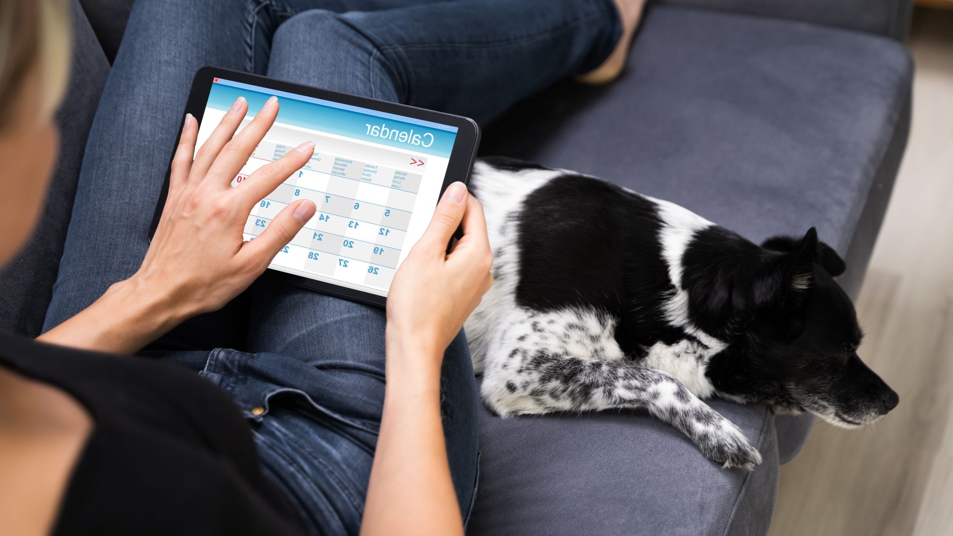 A woman sits on a couch, using a tablet while her dog relaxes beside her